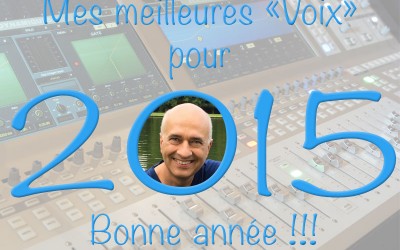 Mes meilleures Voix pour 2015 !