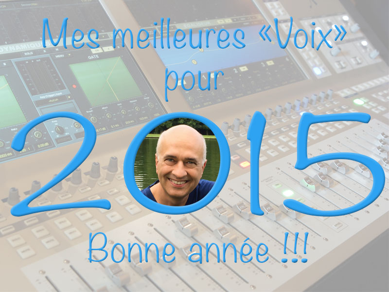 Mes meilleures Voix pour 2015 !