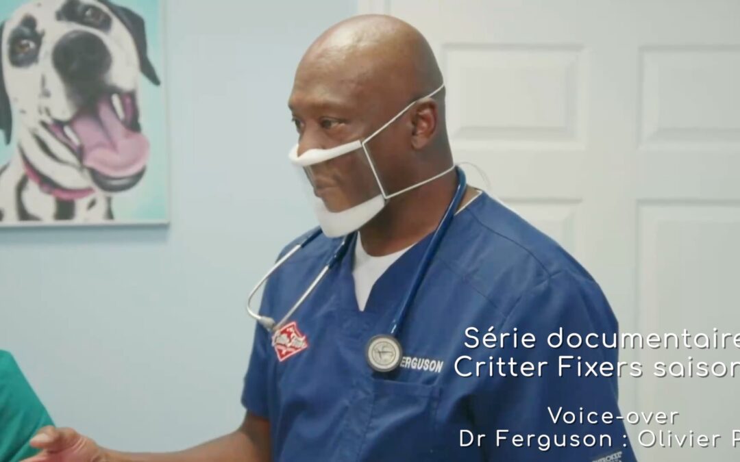 Critter Fixers saison 4 !